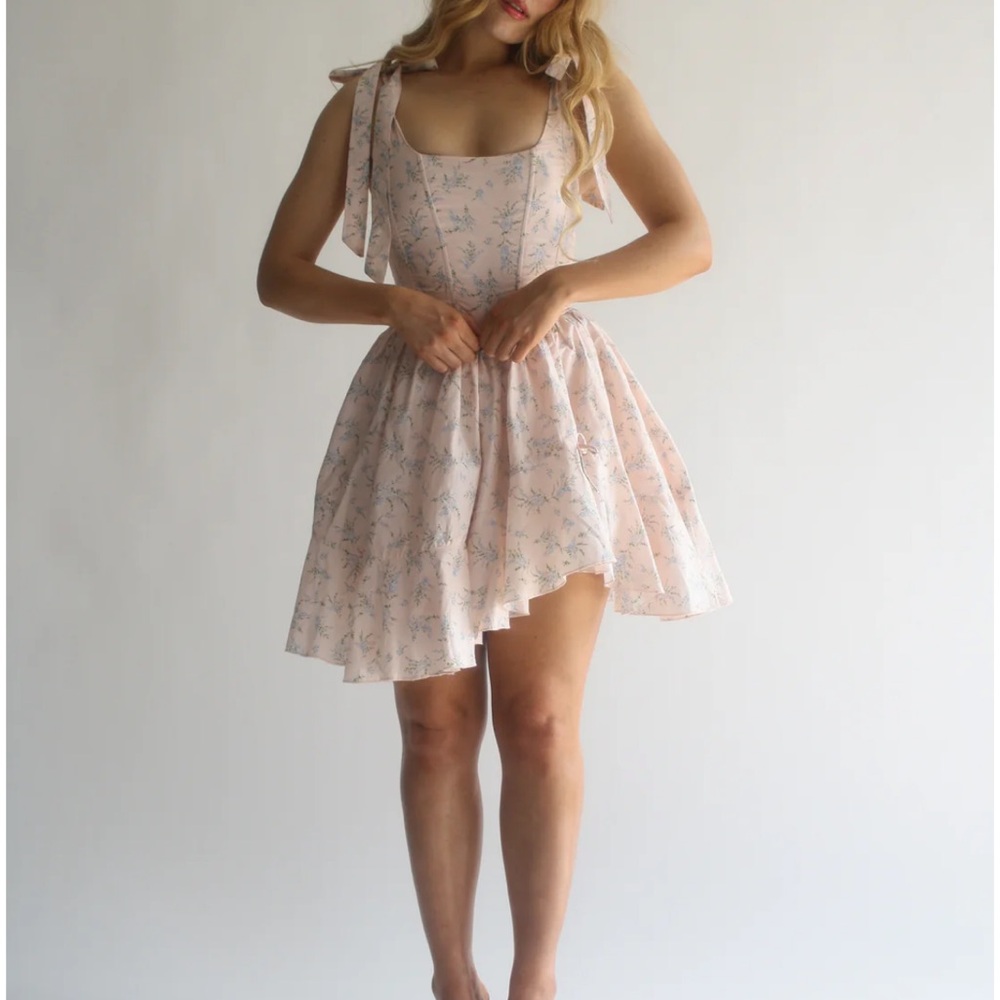 wild rose and sparrow  Floral corset tie dress